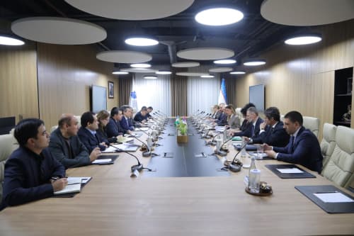 Узбекистан и Сербия обсудили вывод сотрудничества в сфере цифровой трансформации на новый уровень