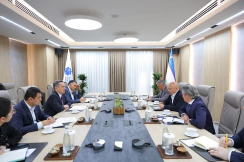 Development of Telecommunications Infrastructure Discussed with VEON CEO