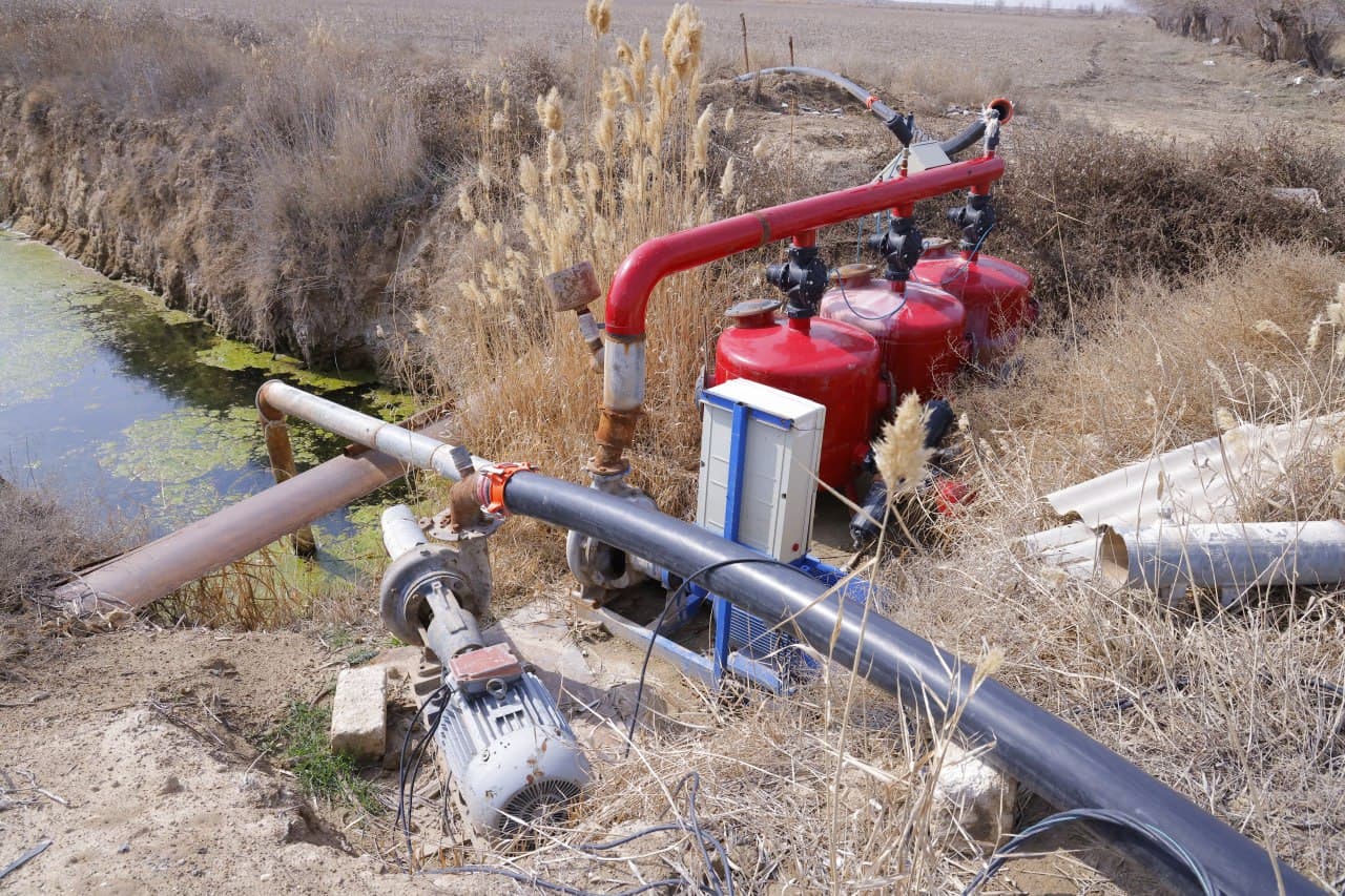 “Yashil makon” loyihasi doirasida yirik ko‘kalamzorlashtirish ishlari olib borilmoqda