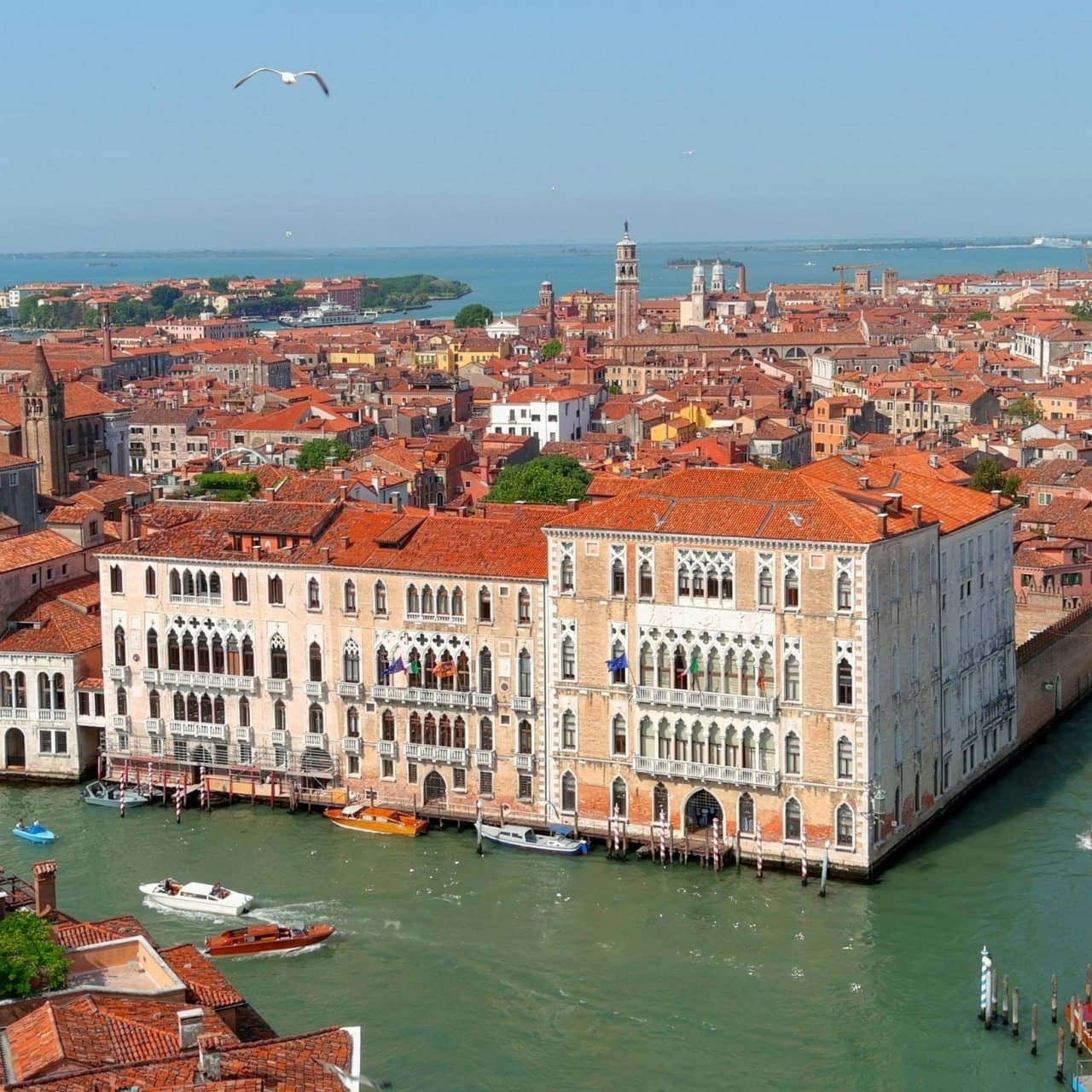 В Университете Инха в Ташкенте запускается новое итальянское направление международного образования!