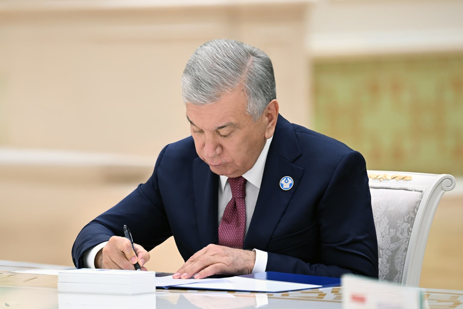 Президент Узбекистана определил приоритеты предстоящего председательства страны в Содружестве Независимых Государств